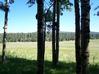LOT 2, ELK RIDGE MEADOWS